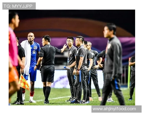 鲁能与恒大球迷激情对决精彩瞬间回顾视频分享